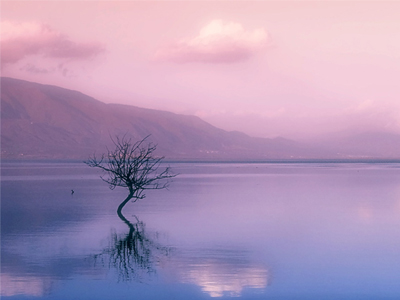 Δάκρυσε η Φιλίνη