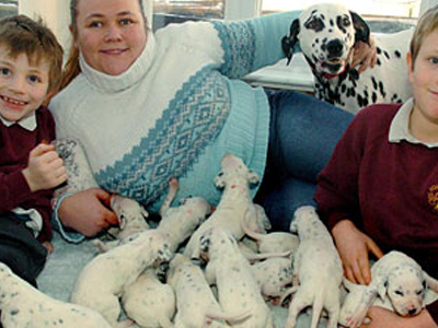 Τα 18 … σκυλάκια Δαλματίας