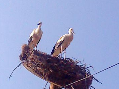 Η ΔΕΗ άργησε μια μέρα…