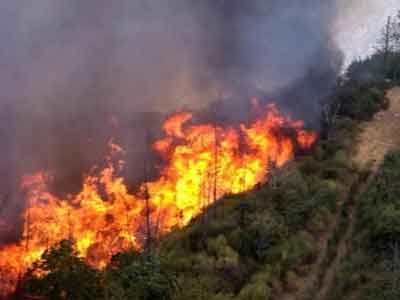 Υπό μερικό έλεγχο η φωτιά στη Δεσκάτη Υπό μερικό έλεγχο η φωτιά στη Δεσκάτη