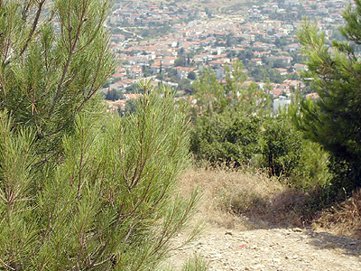 Πτώμα γυναίκας βρέθηκε θαμμένο