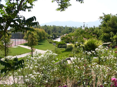 Αρχίζει η ανάπλαση του Αττικού Άλσους