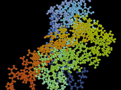 Δέκα νεκροί από νέα μορφή άνοιας