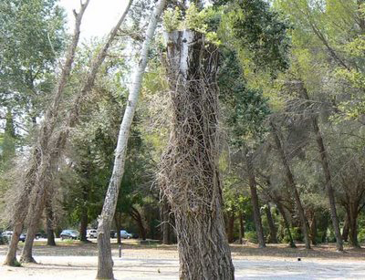 Εγκατέλειψε την πρώην του στην ερημιά με τα εσώρουχα