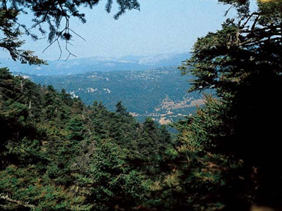 Ορειβάτες  χάθηκαν στα Δερβενοχώρια