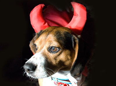 Ο «Θεός»… δάγκωσε τον «Διάβολο»