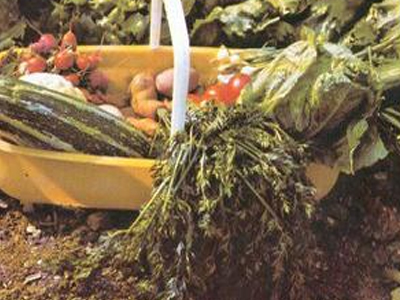 Φυτέψτε ένα τεχνητό λαχανόκηπο στην ταράτσα σας