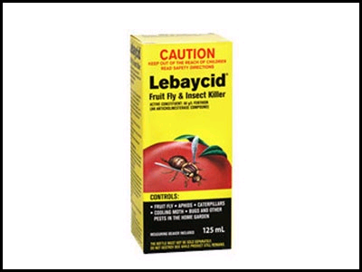 Χρησιμοποιούμε απαγορευμένο φυτοφάρμακο στις ελιές