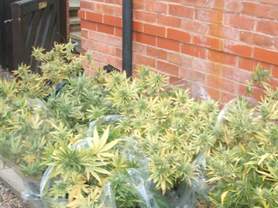 Στη φυλακή μητέρα-έμπορος ναρκωτικών