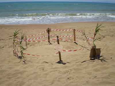 Γεννητούρια στην Κουρούτα!