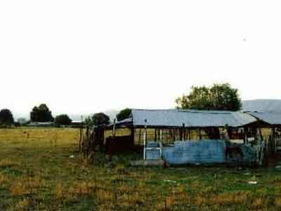 Έκρυβε ολόκληρο οπλοστάσιο στο μαντρί του