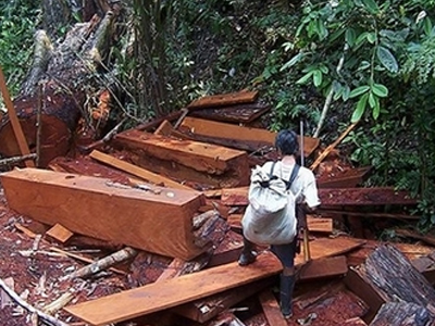 Νεκροί αστυνομικοί κατά τη διάρκεια επιχείρησης στο Peru