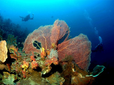 Βρέθηκαν ζωντανοί μετά από δύο μέρες