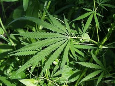 Το “βαπόρι απ’ την Περσία” πιάστηκε στην Κορινθία