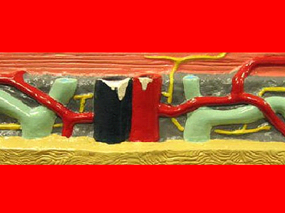 Γιάννη Μαυριτσάκη, Κωλοδουλειά