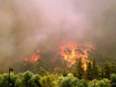 Πυρκαγιά στη Σητεία