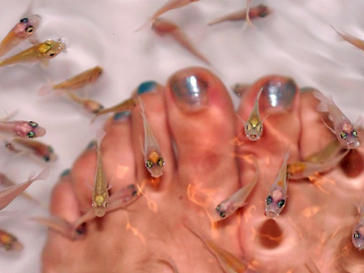 Πεντικιούρ με… ψάρια