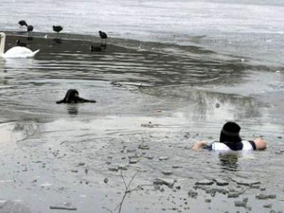 Έβαλε το σκύλο του πάνω από τη ζωή του