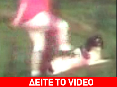 Απίστευτη εκδήλωση βίας 12χρονης σε σκυλί