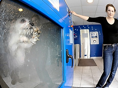 Κάνει τα… σκυλιά «αόρατα»