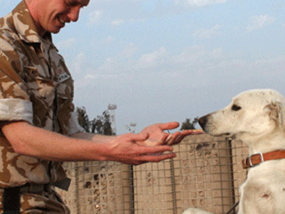 Οι Βρετανοί στρατιώτες φεύγουν από το Ιράκ … η ”μασκότ” τους μένει