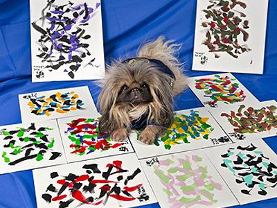 Αφηρημένη τέχνη από ένα… σκύλο