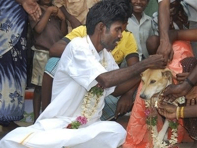 Η νύφη ήταν… σκύλα!