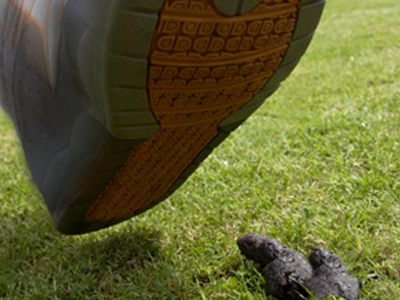 Τεστ DNA στα κόπρανα των σκύλων πρότεινε Γερμανός πολιτικός