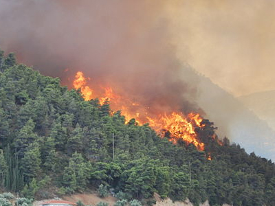 Καίγεται δάσος στον Δομοκό