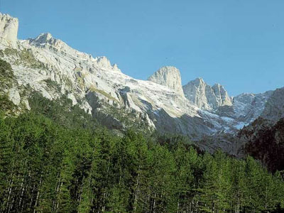 Η κλιματική αλλαγή απειλεί τους Εθνικούς Δρυμούς