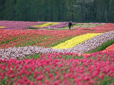 Θα «πιάσουν» τον Μάη …από τα κέρατα