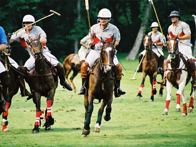 Πέθαναν άλογα πριν από αγώνα Πόλο