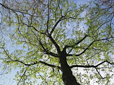 Υποχρεωτική η oικολογική οδήγηση στις εξετάσεις υποψήφιων οδηγών