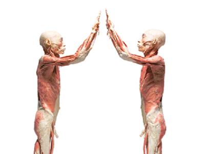 Έκθεση με αληθινά ανθρώπινα σώματα