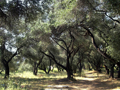 Φρικτός θάνατος 34χρονου
