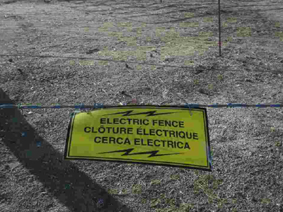 Τον σκότωσε… η «ανάγκη» του