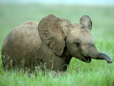 Γιατρέ ξεχνάω. Δεν είμαι αρκετά έξυπνη;