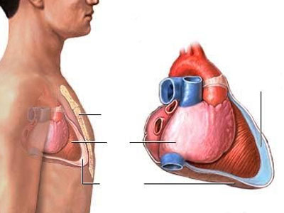 Η Μοριακή Βιολογία νικάει οριστικά τον αιφνίδιο θάνατο
