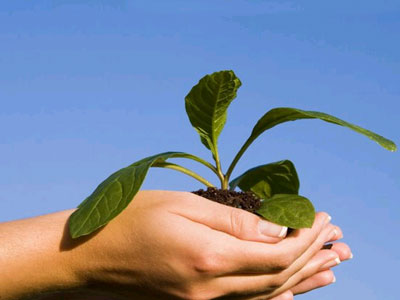 Ο νόμος στα χέρια των πολιτών για το περιβάλλον