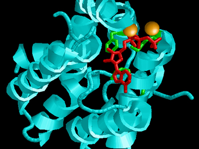 Ανακάλυψη ενζύμου που ευνοεί τη μετάσταση του καρκίνου
