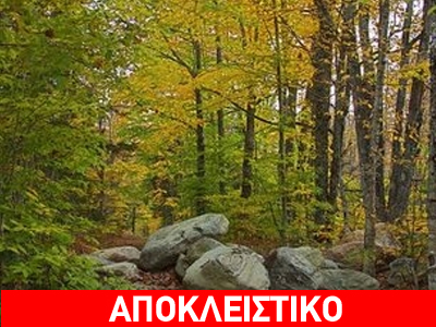 Έστειλαν φοιτητές για εκπαίδευση «γυμνούς στα αγκάθια»