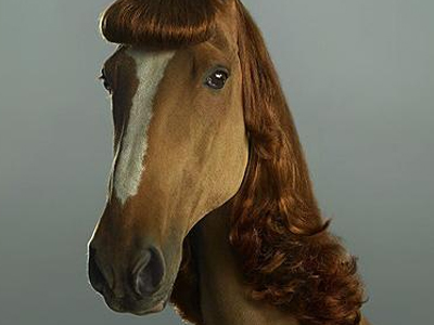 Εξτένσιονς στην κόμη… των αλόγων