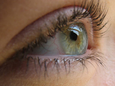 Αχ αυτές… οι σακούλες!