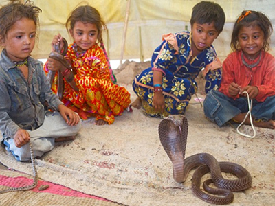 Γητευτές φιδιών ετών… δύο