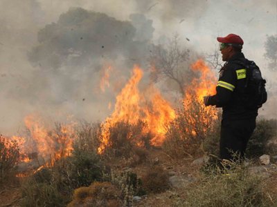 Πυρκαγιά στα Φάρσαλα