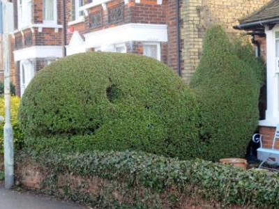 Μια φάλαινα … στον κήπο