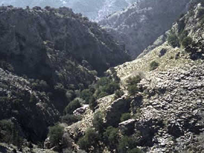 Αίσιο τέλος για τους δύο Πολωνούς