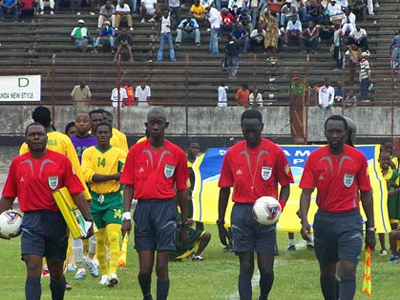 Μέλισσες διέκοψαν… ποδοσφαιρικό αγώνα