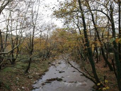 Μόλυνση στον Αλφειό ποταμό