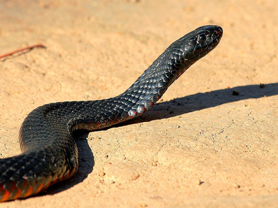 Της μαύρισαν την… ψυχή